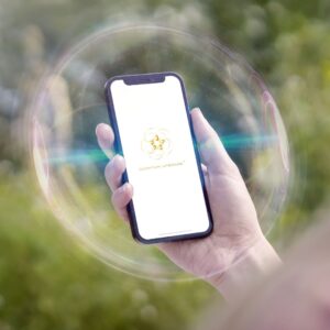 QUANTUM UPGRADE FOR PHONE