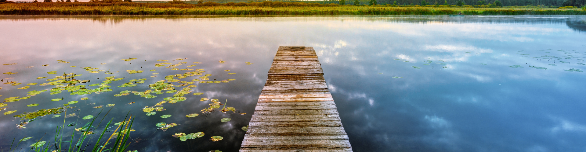 mindfulness