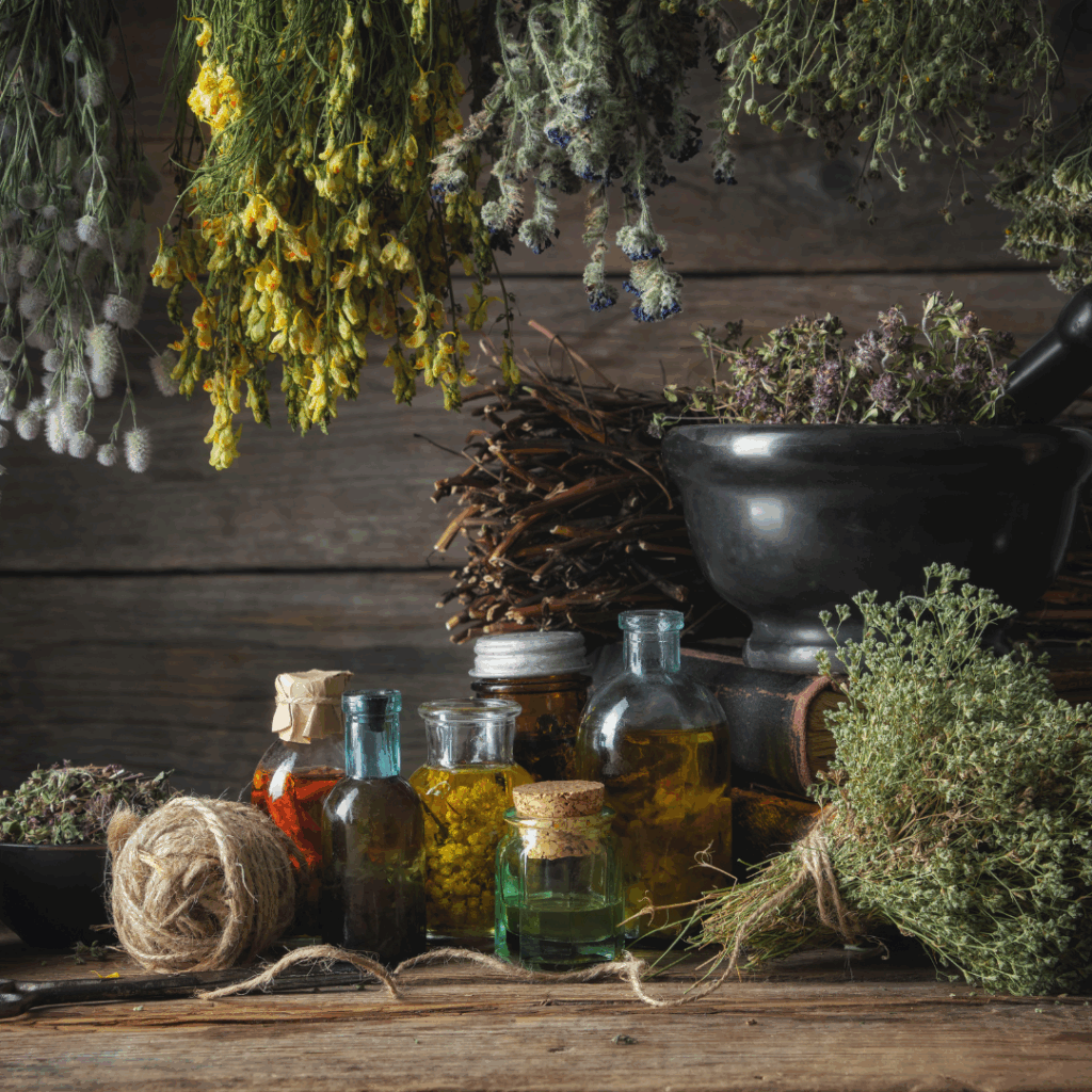 Hanging Bunches and Bottles of Medicinal Herbs