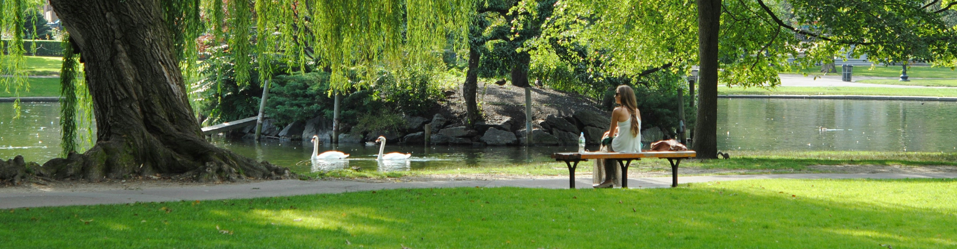 woman sitting on bench