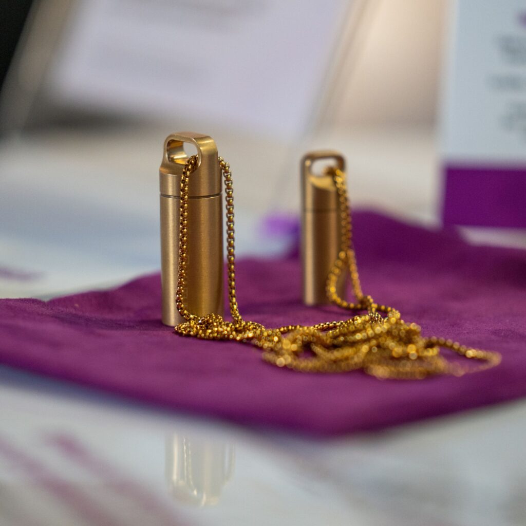 Leela Quantum Tech Capsules on display at FlowFest.