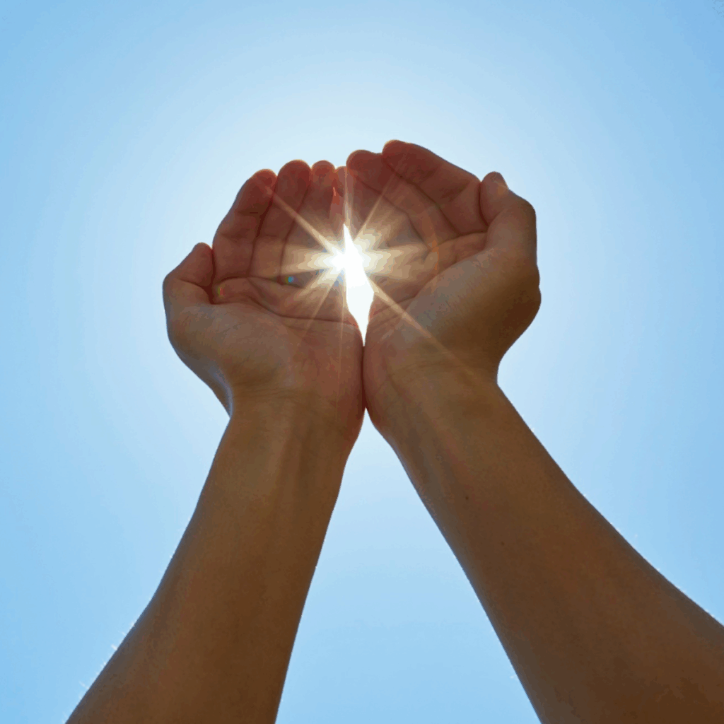 Hands Against the Sunlight