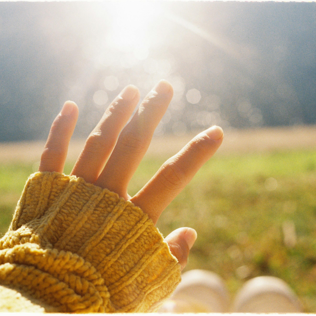 Hand Against Sunlight